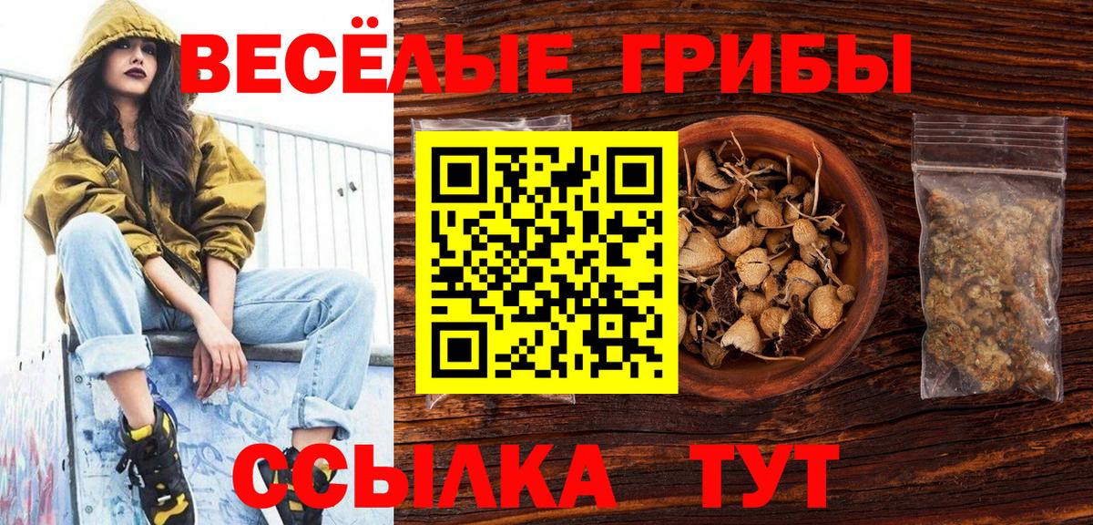Нерюнгри  Галлюциногенные грибы прущие грибы  Галлюциногенные грибы мицелий  Вход с VPN 